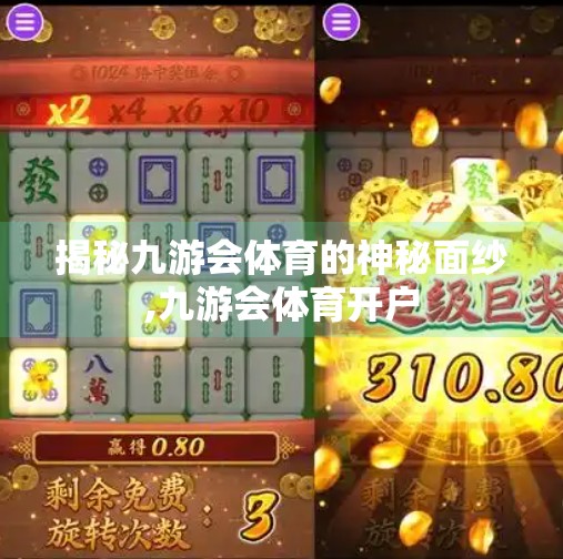 揭秘九游会体育的神秘面纱,九游会体育开户