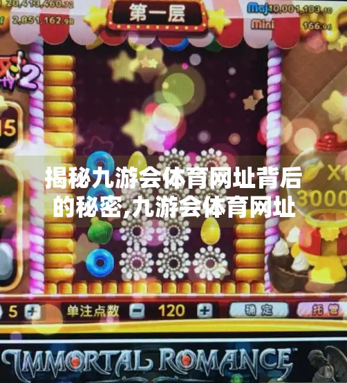 揭秘九游会体育网址背后的秘密,九游会体育网址