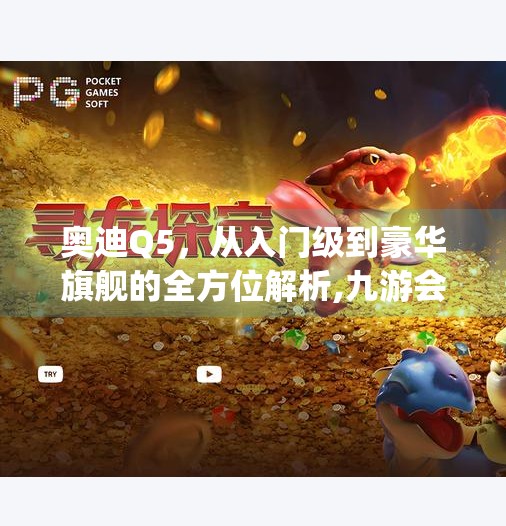 奥迪Q5，从入门级到豪华旗舰的全方位解析,九游会j9登陆奥迪Q5