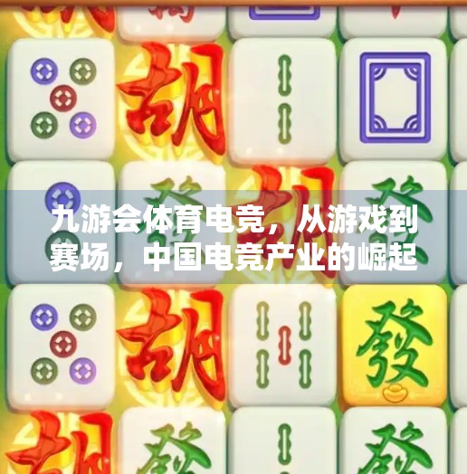九游会体育电竞，从游戏到赛场，中国电竞产业的崛起之路,九游会体育电竞吗