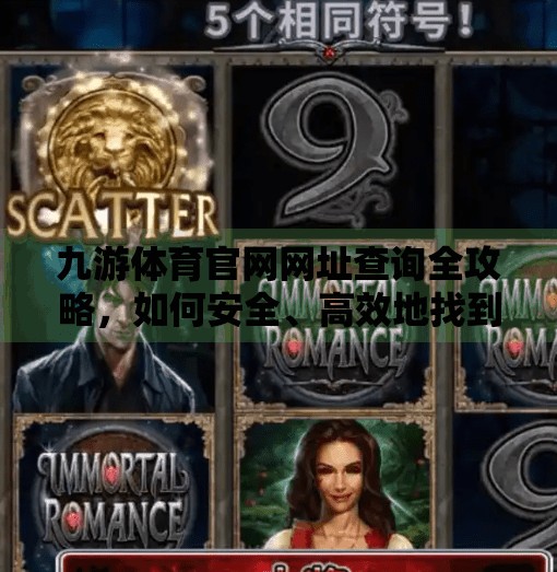 九游体育官网网址查询全攻略，如何安全、高效地找到官方入口？九游体育官网网址查询