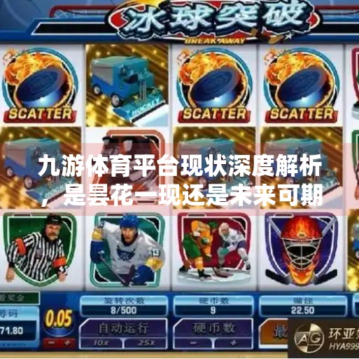 九游体育平台现状深度解析，是昙花一现还是未来可期？九游体育平台怎么样了