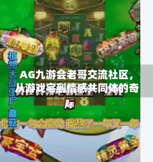 AG九游会老哥交流社区，从游戏宅到情感共同体的奇妙进化,ag九游会老哥交流社区